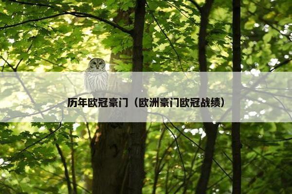 历年欧冠豪门（欧洲豪门欧冠战绩）