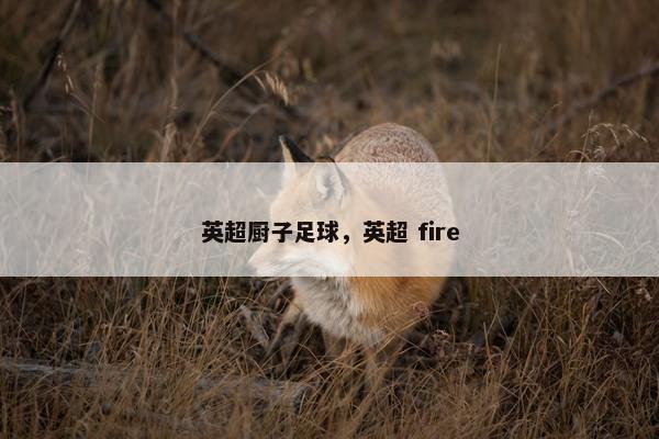 英超厨子足球，英超 fire