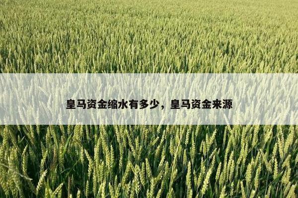 皇马资金缩水有多少，皇马资金来源