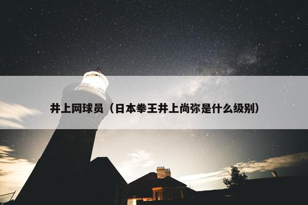井上网球员（日本拳王井上尚弥是什么级别）