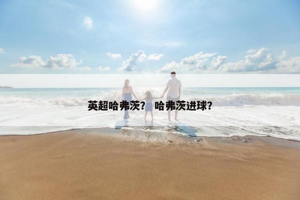 英超哈弗茨？ 哈弗茨进球？