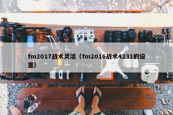 fm2017战术灵活（fm2016战术4231的设置）