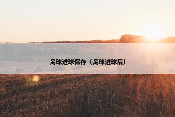 足球进球保存（足球进球后）