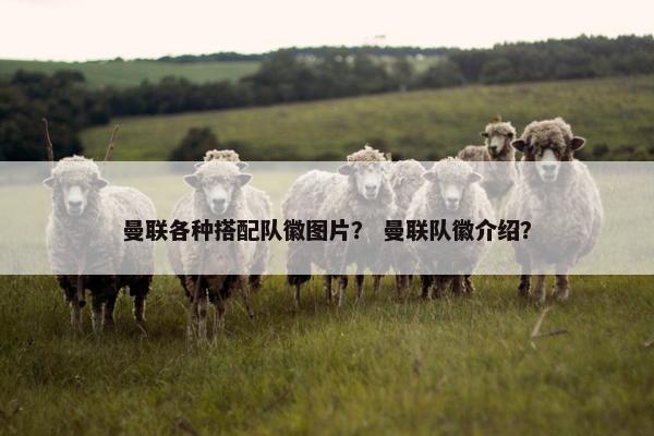 曼联各种搭配队徽图片？ 曼联队徽介绍？