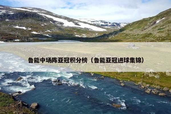 鲁能中场阵亚冠积分榜（鲁能亚冠进球集锦）