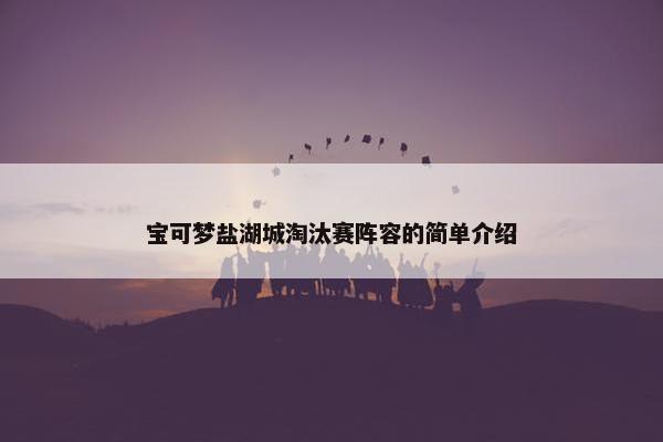 宝可梦盐湖城淘汰赛阵容的简单介绍