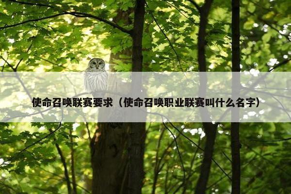 使命召唤联赛要求（使命召唤职业联赛叫什么名字）