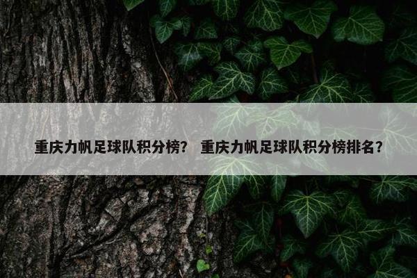 重庆力帆足球队积分榜？ 重庆力帆足球队积分榜排名？