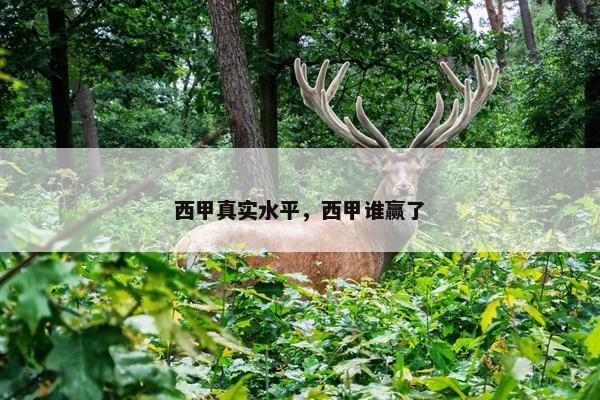 西甲真实水平，西甲谁赢了