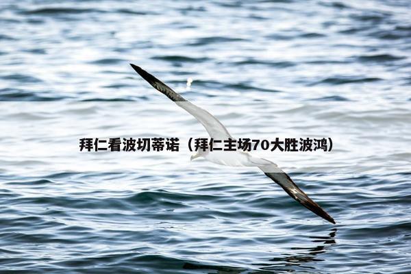 拜仁看波切蒂诺（拜仁主场70大胜波鸿）