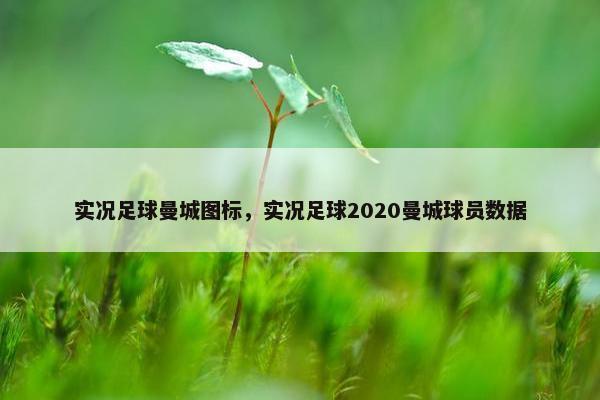 实况足球曼城图标，实况足球2020曼城球员数据