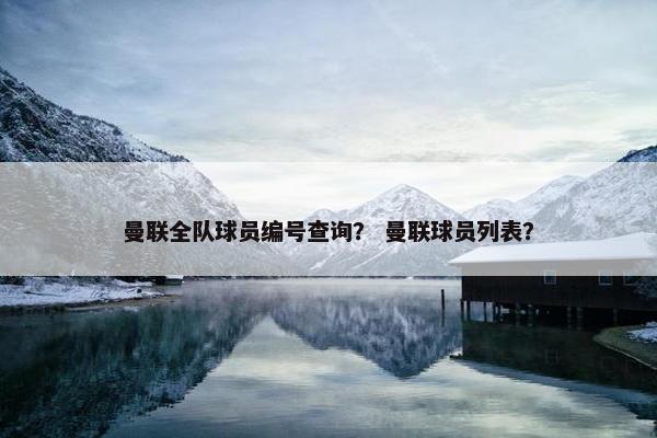 曼联全队球员编号查询？ 曼联球员列表？