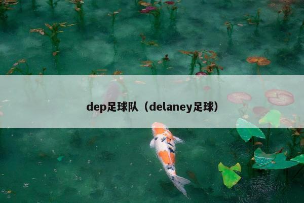 dep足球队（delaney足球）