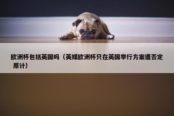 欧洲杯包括英国吗（英媒欧洲杯只在英国举行方案遭否定 原计）