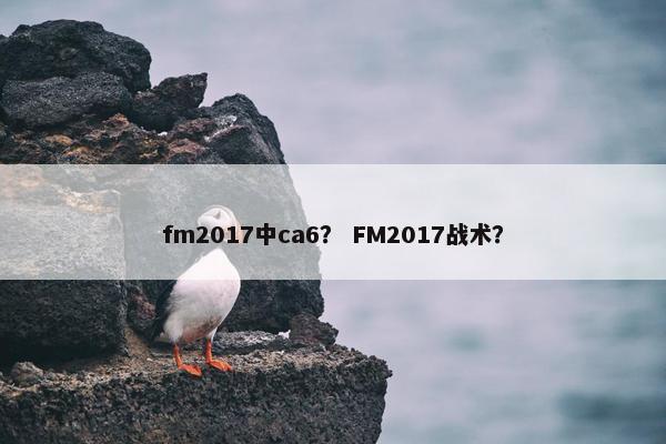 fm2017中ca6？ FM2017战术？