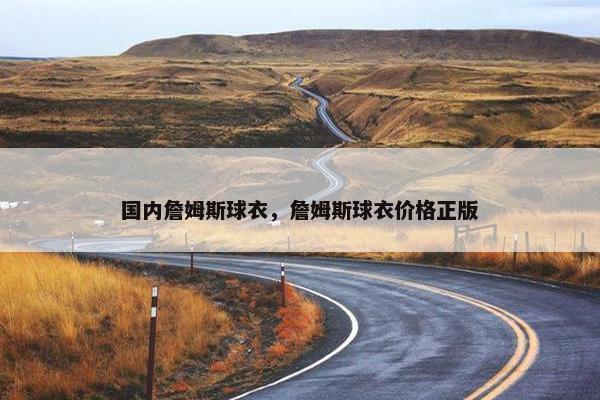 国内詹姆斯球衣，詹姆斯球衣价格正版