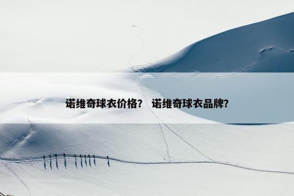 诺维奇球衣价格？ 诺维奇球衣品牌？