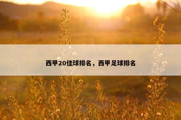 西甲20佳球排名，西甲足球排名