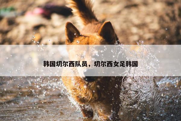 韩国切尔西队员，切尔西女足韩国