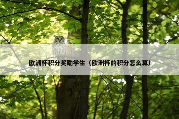 欧洲杯积分奖励学生（欧洲杯的积分怎么算）