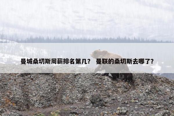 曼城桑切斯周薪排名第几？ 曼联的桑切斯去哪了？