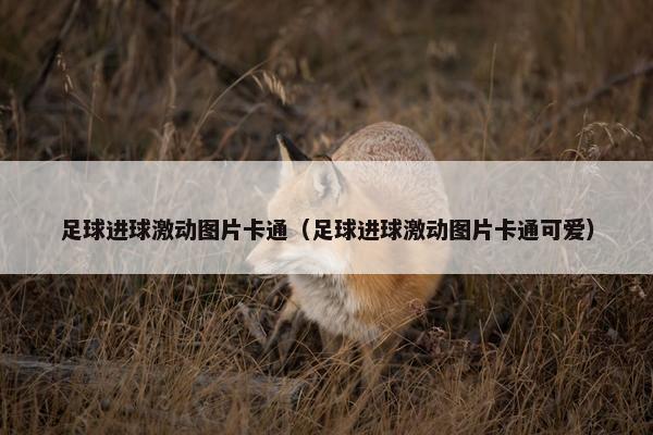 足球进球激动图片卡通（足球进球激动图片卡通可爱）