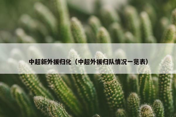 中超新外援归化（中超外援归队情况一览表）