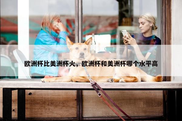欧洲杯比美洲杯火，欧洲杯和美洲杯哪个水平高