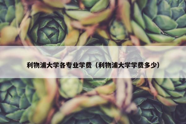 利物浦大学各专业学费（利物浦大学学费多少）