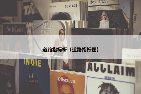 道路指标析（道路指标图）
