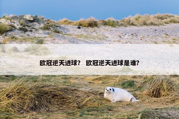 欧冠逆天进球？ 欧冠逆天进球是谁？