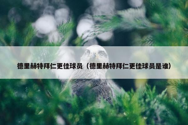 德里赫特拜仁更佳球员（德里赫特拜仁更佳球员是谁）