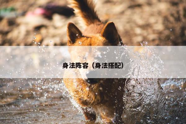 身法阵容（身法搭配）