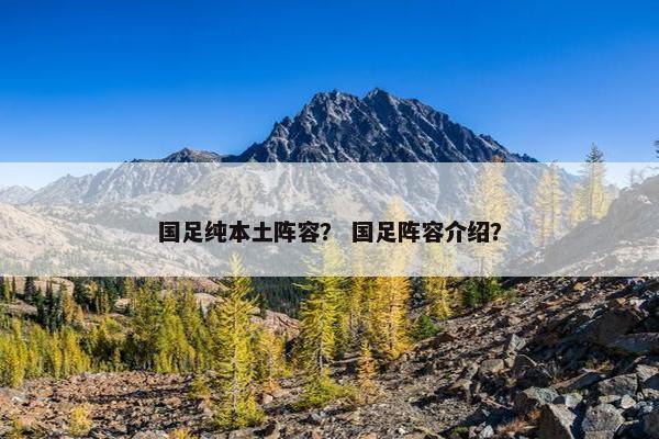 国足纯本土阵容？ 国足阵容介绍？