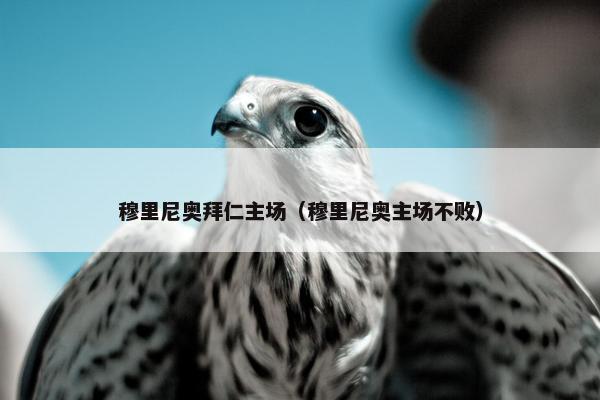穆里尼奥拜仁主场（穆里尼奥主场不败）