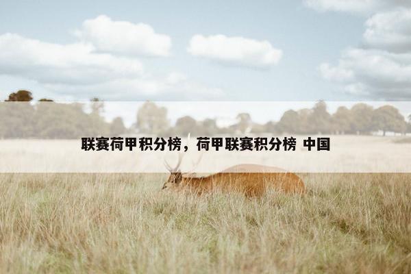 联赛荷甲积分榜，荷甲联赛积分榜 中国