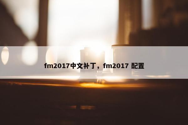 fm2017中文补丁，fm2017 配置