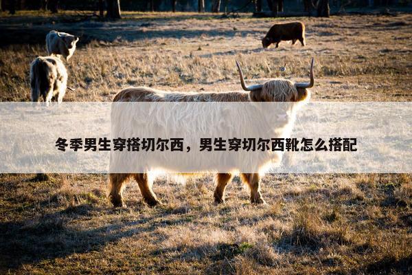 冬季男生穿搭切尔西，男生穿切尔西靴怎么搭配