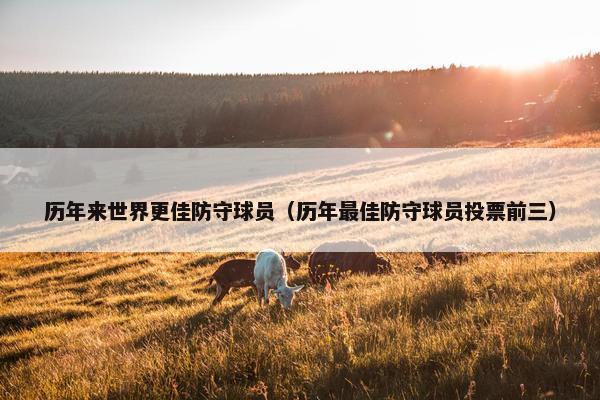 历年来世界更佳防守球员（历年最佳防守球员投票前三）