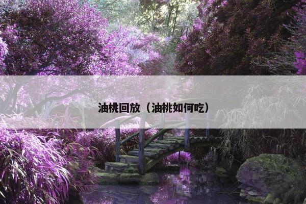 油桃回放（油桃如何吃）