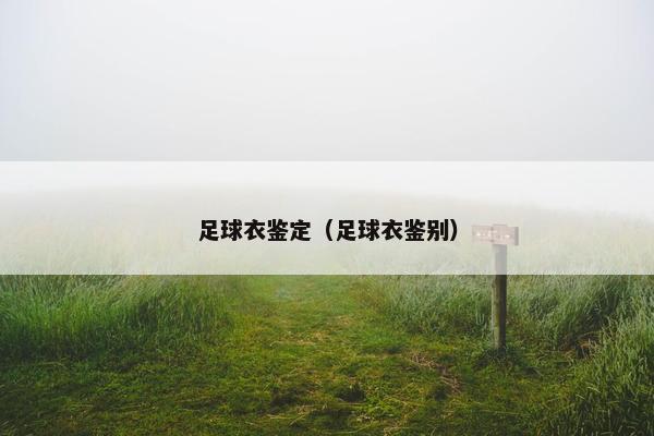 足球衣鉴定（足球衣鉴别）