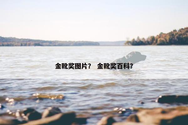 金靴奖图片？ 金靴奖百科？