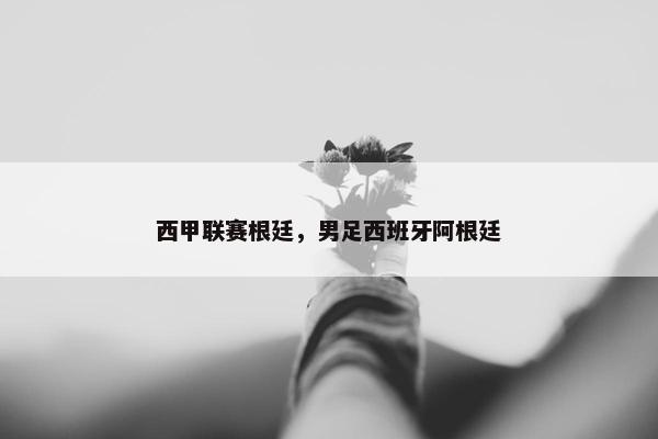 西甲联赛根廷，男足西班牙阿根廷