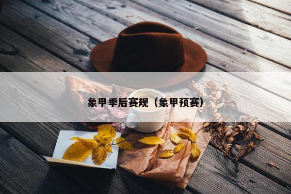 象甲季后赛规（象甲预赛）