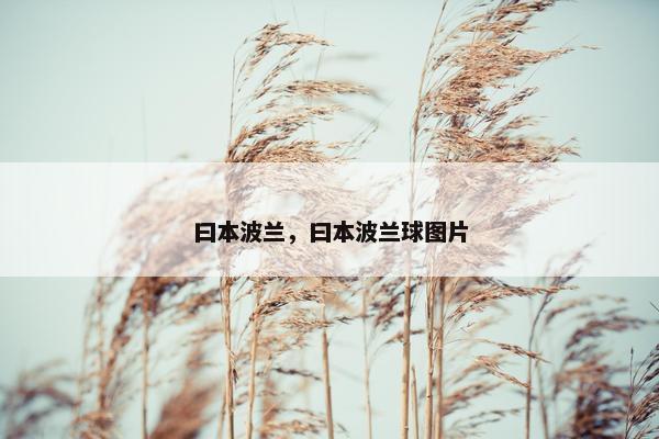 曰本波兰，曰本波兰球图片