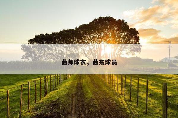 曲帅球衣，曲东球员