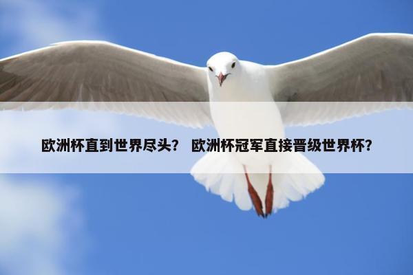 欧洲杯直到世界尽头？ 欧洲杯冠军直接晋级世界杯？