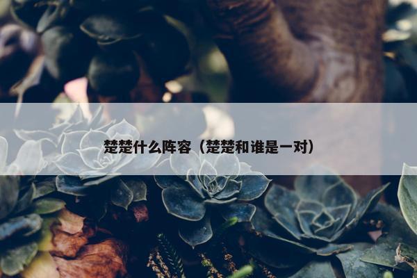 楚楚什么阵容（楚楚和谁是一对）
