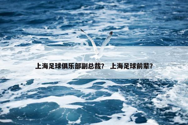上海足球俱乐部副总裁？ 上海足球前辈？