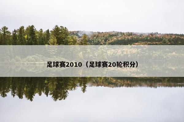 足球赛2010（足球赛20轮积分）